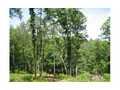 9999 Acres &nbsp; MURPHY, Cherokee County, North Carolina  $29,700