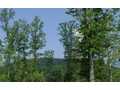 1.71 Acres &nbsp; Epworth, Fannin County, Georgia  $38,000