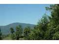1.08 Acres &nbsp; Young Harris, Towns County, Georgia  $50,000