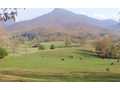 33 Acres &nbsp; Hiawassee, Towns County, Georgia  $1,980,000
