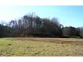 11.96 Acres &nbsp; Morganton, GA, Fannin County, Georgia  $399,000