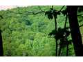 2.32 Acres &nbsp; East Ellijay, Gilmer County, Georgia  $54,500