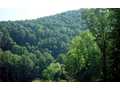 1.8 Acres &nbsp; East Ellijay, Gilmer County, Georgia  $79,500