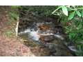 2.29 Acres &nbsp; Epworth, GA, Fannin County, Georgia  $83,900