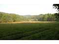 2.97 Acres &nbsp; Epworth, GA, Fannin County, Georgia  $133,650