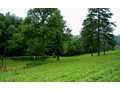 2.48 Acres &nbsp; Epworth, GA, Fannin County, Georgia  $169,900