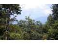 1.41 Acres &nbsp; McCaysville, Fannin County, Georgia  $45,000