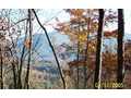 3.12 Acres &nbsp; Warne, Clay County, North Carolina  $49,900
