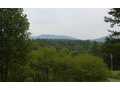 12.01 Acres &nbsp; Morganton, GA, Fannin County, Georgia  $163,139