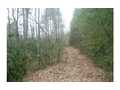 26.5 Acres &nbsp; Hayesville, Clay County, North Carolina  $450,000