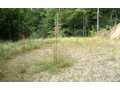 1 Acre &nbsp; Marble, Cherokee County, North Carolina  $52,640
