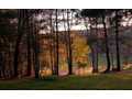 136 Acres &nbsp; Blue Ridge, Fannin County, Georgia  $2,300,000