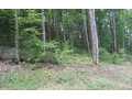 5 Acres &nbsp; Andrews, Cherokee County, North Carolina  $39,900