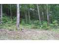 4 Acres &nbsp; Andrews, Cherokee County, North Carolina  $29,900