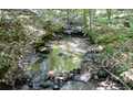 18 Acres &nbsp; Blairsville, Union County, Georgia  $245,000