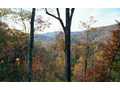 55.76 Acres &nbsp; Murphy, Cherokee County, North Carolina  $225,000
