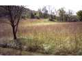 1.96 Acres &nbsp; Brasstown, Clay County, North Carolina  $49,600