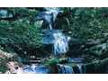 17.1 Acres &nbsp; Ellijay, Gilmer County, Georgia  $231,920