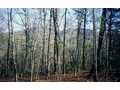 9.27 Acres &nbsp; Mineral Bluff, Fannin County, Georgia  $83,430