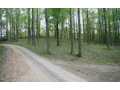 1.1 Acres &nbsp; Hayesville, Clay County, North Carolina  $54,770