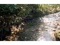 11.4 Acres &nbsp; HAYESVILLE, Clay County, North Carolina  $182,000