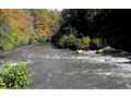 20 Acres &nbsp; McCaysville, Fannin County, Georgia  $2,000,000