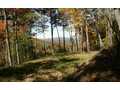 1.33 Acres &nbsp; Brasstown, NC, Clay County, North Carolina  $115,500