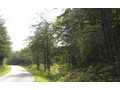 24.38 Acres &nbsp; Copperhill, Polk County, Georgia  $109,710