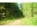 10.38 Acres &nbsp; McCaysville, Fannin County, Georgia  $94,000