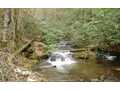 130 Acres &nbsp; Farner, Polk County, Tennessee  $650,000