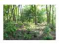 12.5 Acres &nbsp; Farner, Polk County, Tennessee  $60,000