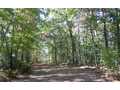98 Acres &nbsp; Turtletown, Polk County, Tennessee  $583,100