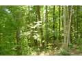 1.54 Acres &nbsp; Blairsville, Union County, Georgia  $17,500