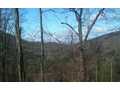 3.46 Acres &nbsp; Blairsville, Union County, Georgia  $49,900