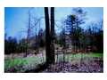 2.23 Acres &nbsp; Blairsville, Union County, Georgia  $25,000