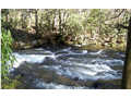 3 Acres &nbsp; Robbinsville, Graham County, North Carolina  $199,900