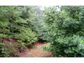 1.04 Acres &nbsp; Blairsville, Union County, Georgia  $38,000
