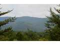 73.59 Acres &nbsp; Copperhill, Polk County, Tennessee  $224,900