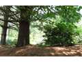 13.04 Acres &nbsp; Turtletown, Polk County, Tennessee  $59,900