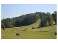 67 Acres &nbsp; Turtletown, Polk County, Tennessee  $536,000