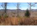 49 Acres &nbsp; Turtletown, Polk County, Georgia  $249,900