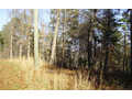 2.04 Acres &nbsp; Ranger, Gordon County, Georgia  $18,500