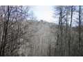1.77 Acres &nbsp; Blue Ridge, Fannin County, Georgia  $24,900