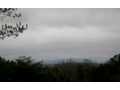 4.2 Acres &nbsp; Morganton, Fannin County, Georgia  $50,000