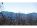 1.4 Acres &nbsp; Blue Ridge, GA, Fannin County, Georgia  $21,000
