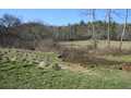 .66 Acres &nbsp; Murphy, Cherokee County, North Carolina  $9,900
