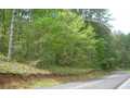 2.28 Acres &nbsp; Blue Ridge, Fannin County, Georgia  $31,000