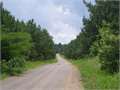 230 Acres &nbsp; Tillatoba, Yalobusha County, Mississippi  $414,000