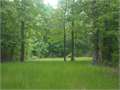 263 Acres &nbsp; Lexington, Holmes County, Mississippi  $541,150