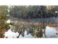 8.61 Acres &nbsp; Jasper, Jasper County, Texas  $56,000